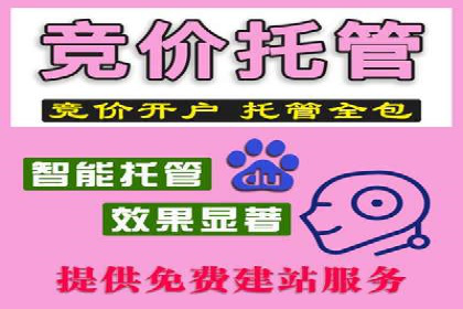 百度网络推广实战技巧：案例解析，让广告投放更精准